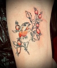 Tattoo, T&auml;towierungen, Tattooatelier